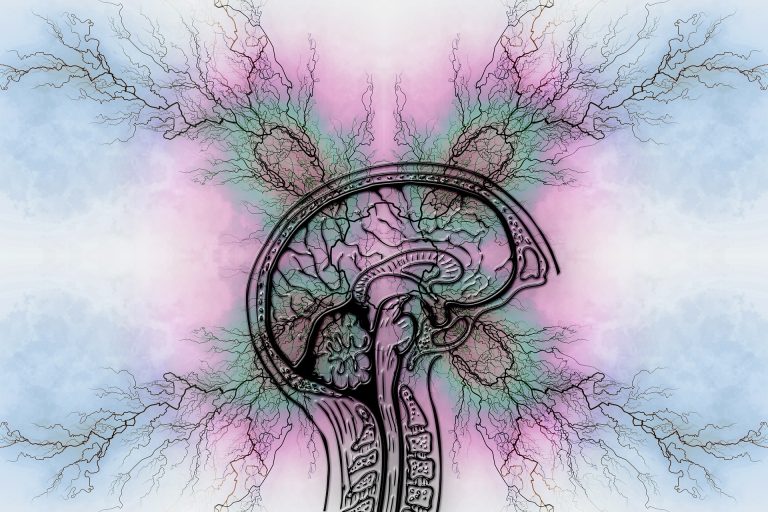 Epilepsi hastalığına faydalı bitkiler.